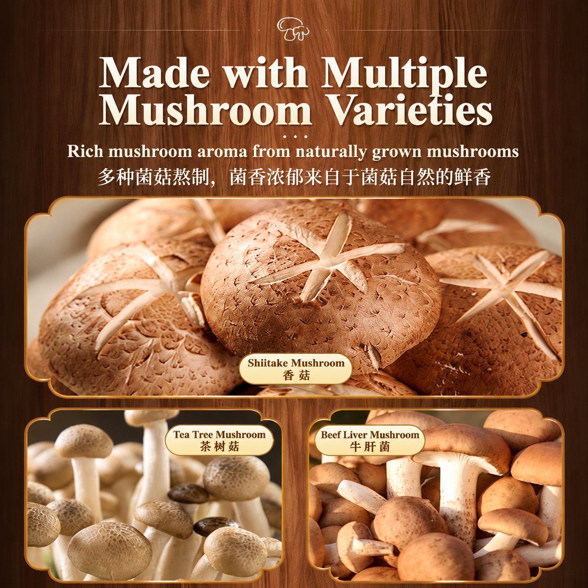 Clear Bone Broth Hot Pot Base | 菌菇清汤骨汤火锅底料 - 40g (10-50袋)