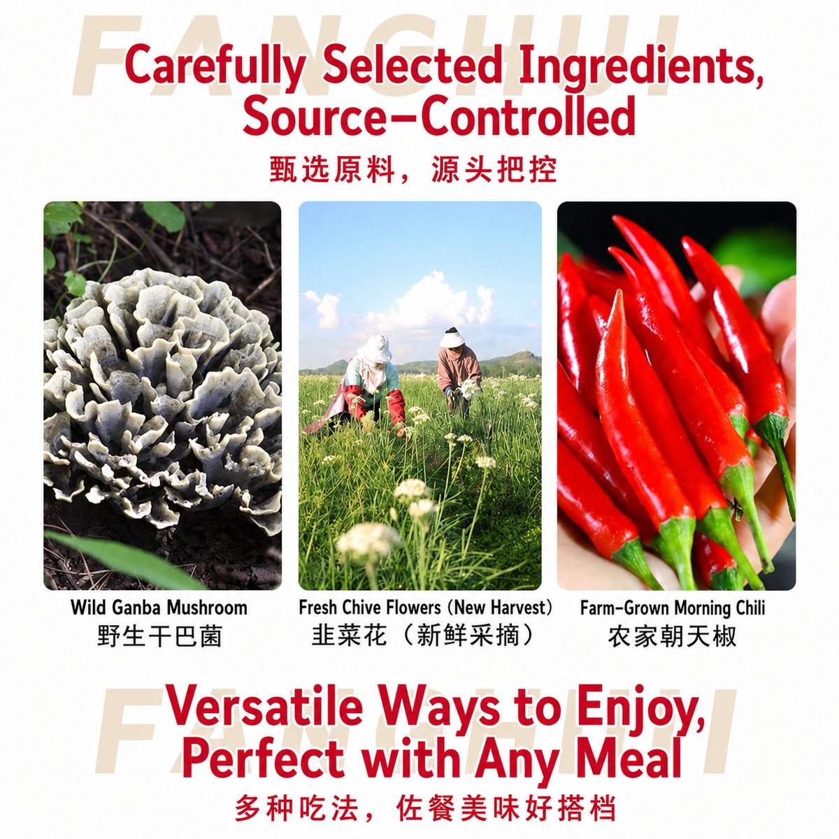 Yunnan Ganba Mushroom & Chive Pickle Sauce 500g - usage suggestion